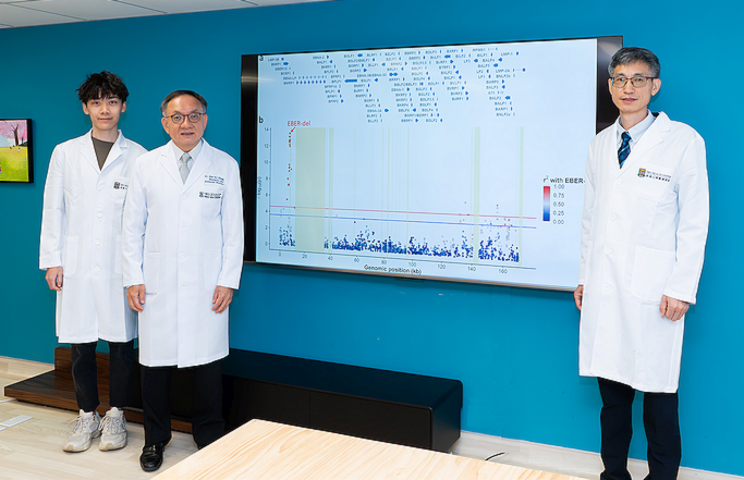 HKUMed meta-analysis links high-risk Epstein-Barr virus lineage to nasopharyngeal cancer in southern China